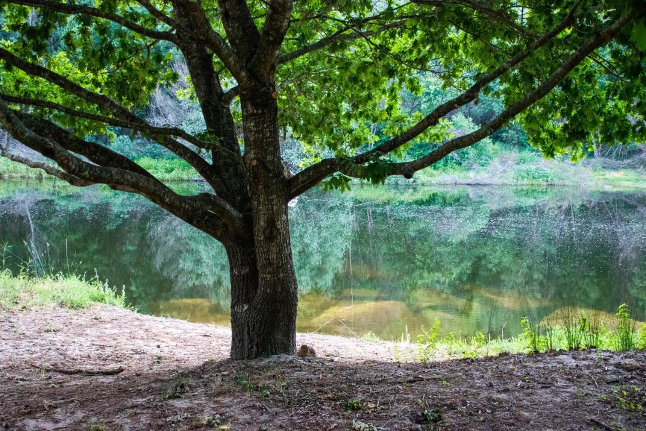 Quinta Da Lontra Villa Tábua Exteriör bild