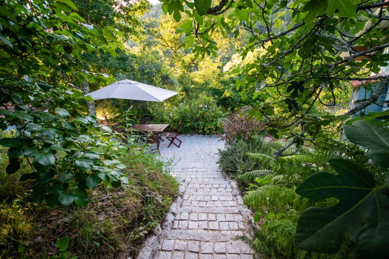 Quinta Da Lontra Villa Tábua Exteriör bild