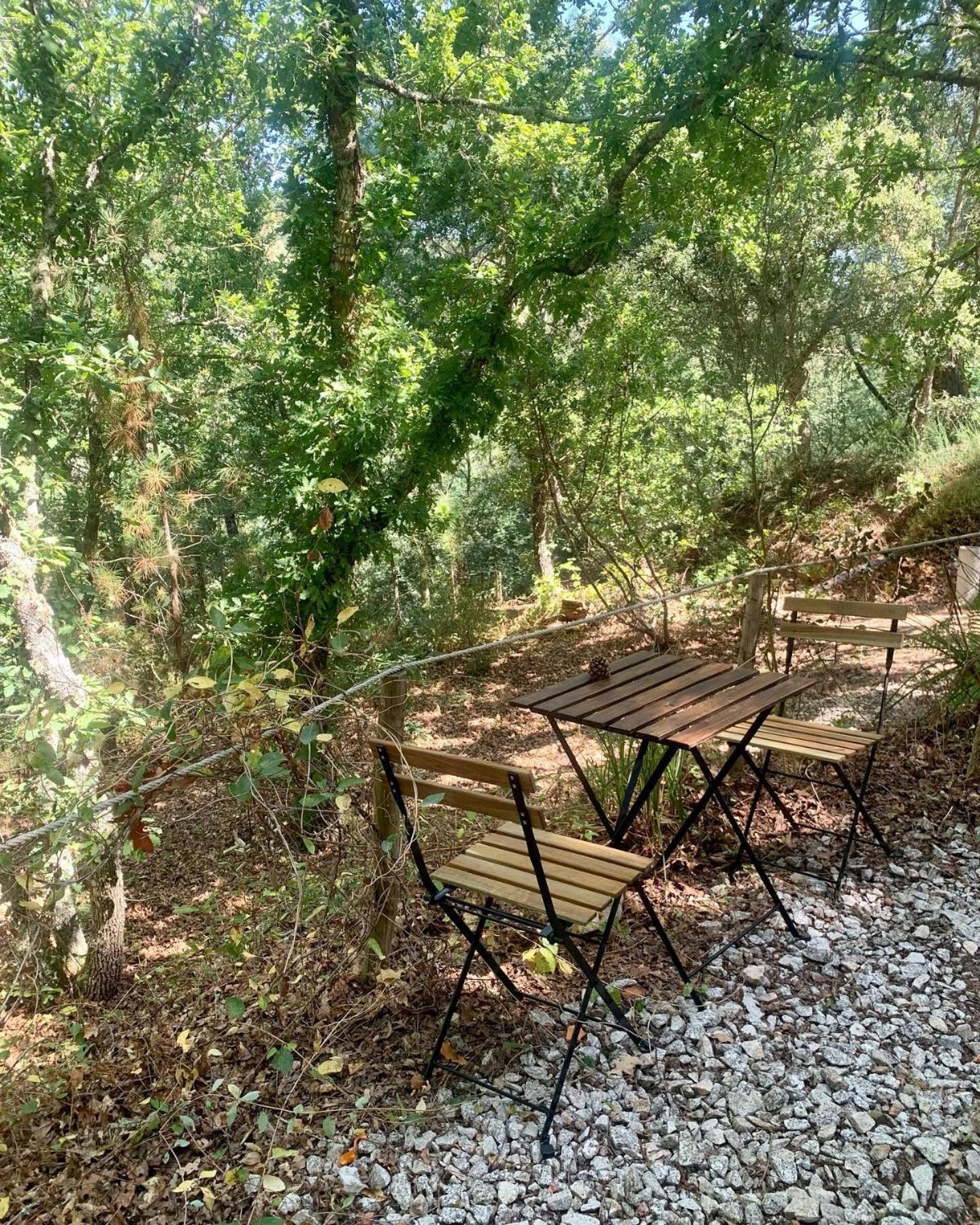 Quinta Da Lontra Villa Tábua Exteriör bild