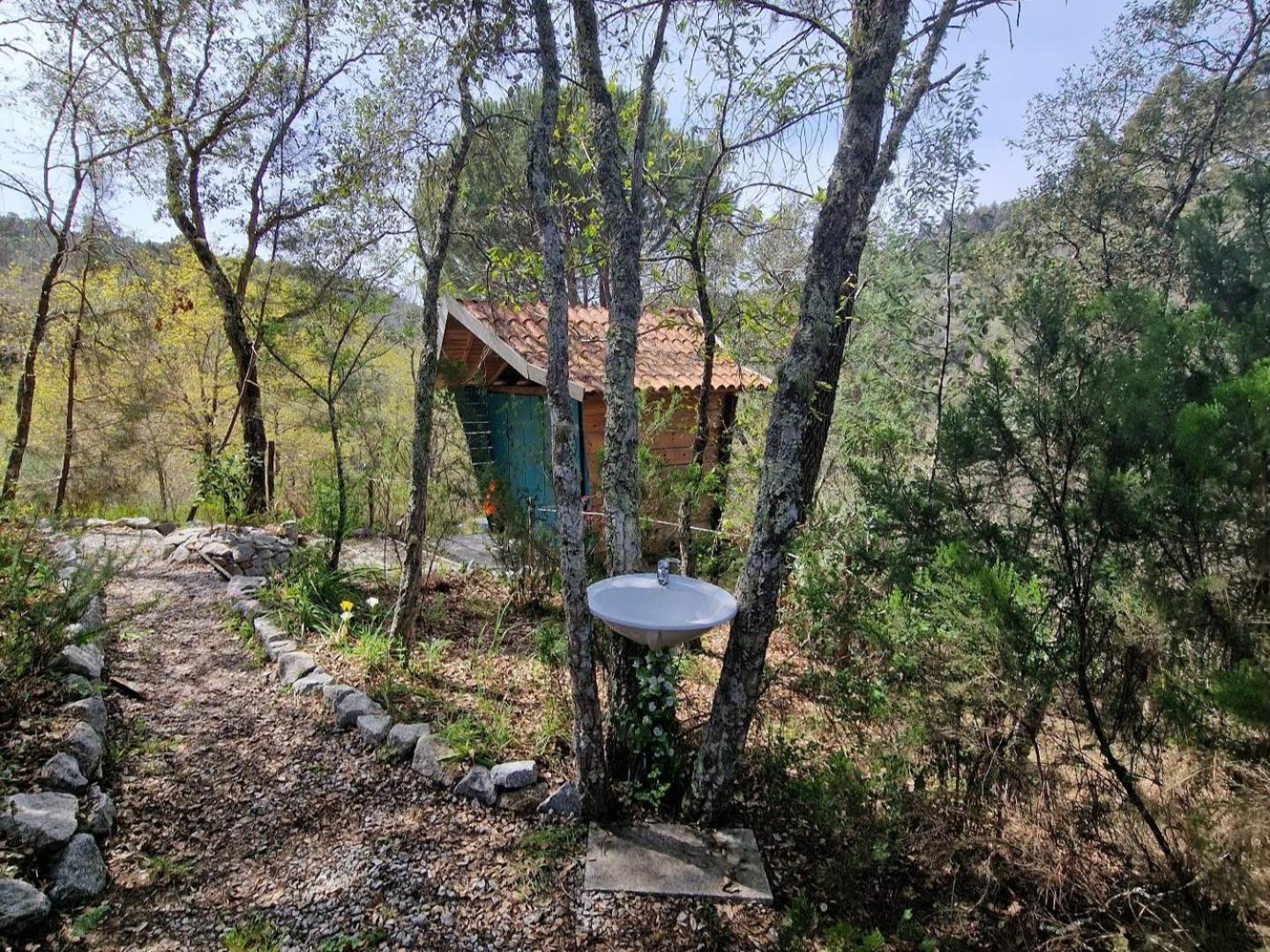 Quinta Da Lontra Villa Tábua Exteriör bild