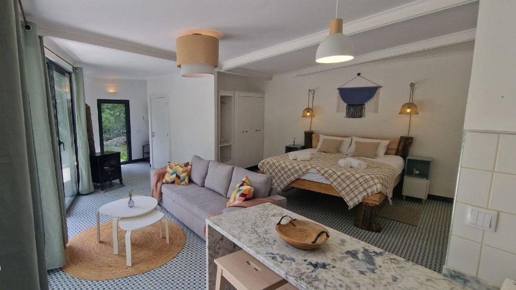 Quinta Da Lontra Villa Tábua Exteriör bild