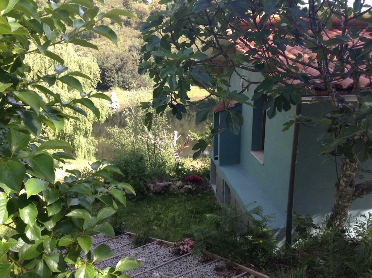 Quinta Da Lontra Villa Tábua Exteriör bild