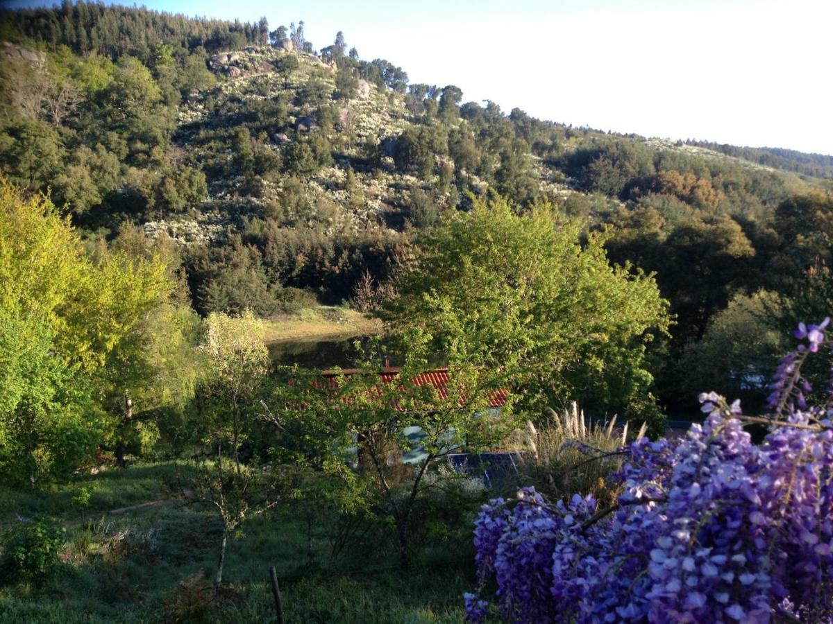Quinta Da Lontra Villa Tábua Exteriör bild